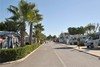Marjal Camping & Bungalows Resort
