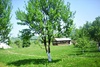 Camping Cristiana