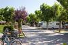 Camping les medes