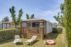 CAMPING AMFORA