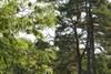 CAMPING DE SAINT DISDILLE