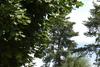 CAMPING DE SAINT DISDILLE
