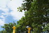 CAMPING DE SAINT DISDILLE