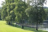 Campingpark Waldsee