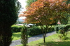 Campingplatz zum Katzenstein